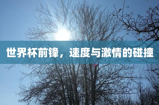 世界杯前锋，速度与激情的碰撞