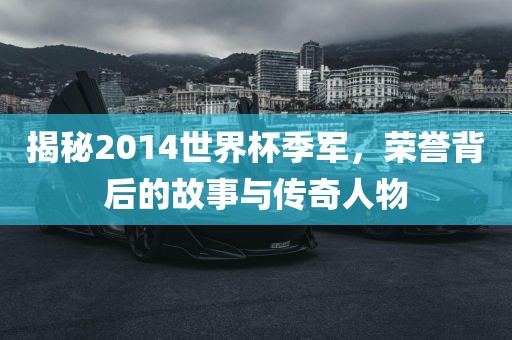 揭秘2014世界杯季军，荣誉背后的故事与传奇人物常熟市高丰毛纺织品有限公司