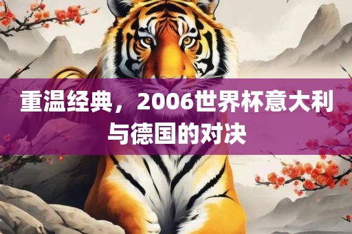 重温经典，2006世界杯意大利与德国的对决