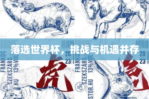 落选世界杯，挑战与机遇并存