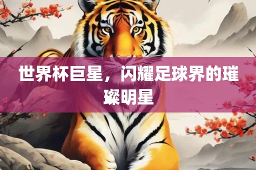 世界杯巨星，闪耀足球界的璀璨明星常熟市高丰毛纺织品有限公司