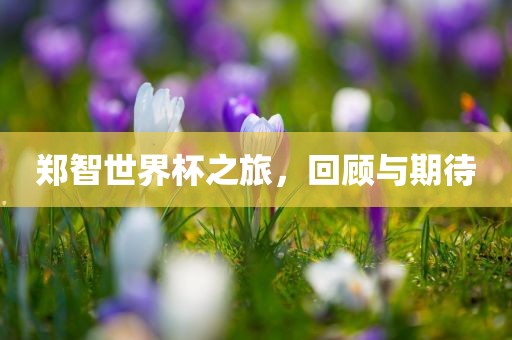郑智世界杯之旅，回顾与期待