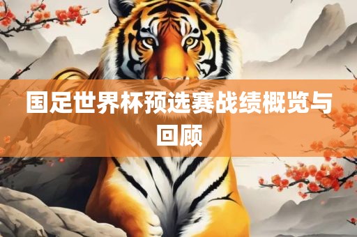国足世界杯预选赛战绩概览与回顾