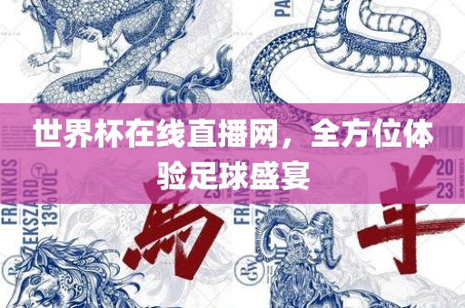 世界杯在线直播网，全方位体验足球盛宴