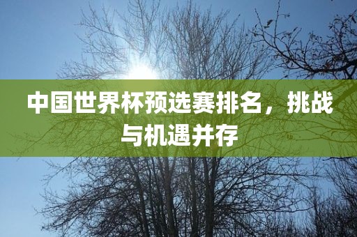 中国世界杯预选赛排名，挑战与机遇并存