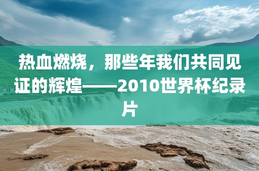 热血燃烧，那些年我们共同见证的辉煌——2010世界杯纪录片常熟市高丰毛纺织品有限公司