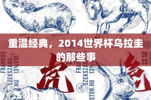 重温经典常熟市高丰毛纺织品有限公司，2014世界杯乌拉圭的那些事