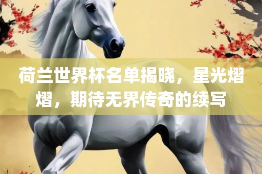 荷兰世界杯名单揭晓，星光熠熠，期待无界传奇的续写常熟市高丰毛纺织品有限公司