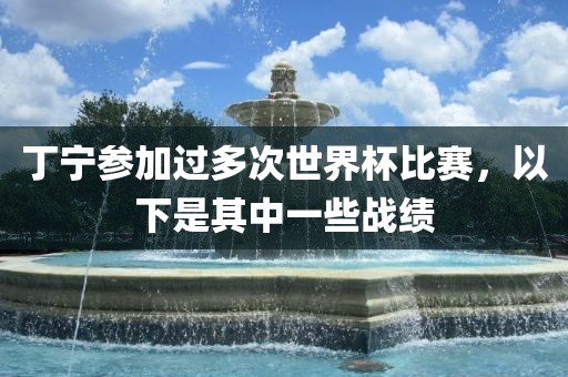 丁宁参加过常熟市高丰毛纺织品有限公司多次世界杯比赛，以下是其中一些战绩
