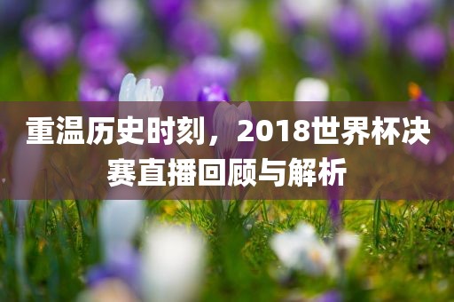 重温历史时刻，2018世界杯决赛直播回顾与解析常熟市高丰毛纺织品有限公司