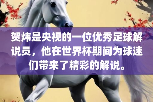 贺炜是央视的一位优秀足球解说员，他在世界杯期间常熟市高丰毛纺织品有限公司为球迷们带来了精彩的解说。