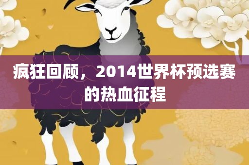 疯狂回顾，2014世界杯预选赛的热血征程常熟市高丰毛纺织品有限公司