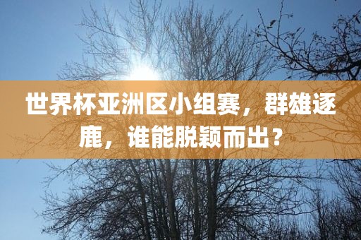 世界杯亚洲区小组赛，群雄逐鹿，谁能脱颖而出？