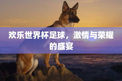 欢乐世界杯足球，激情与荣耀的盛宴