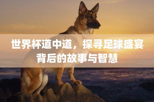 huangshujun 第3页