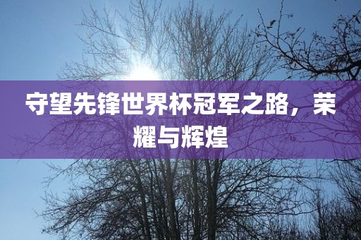 守望先锋世界杯冠军之路，荣耀与辉煌