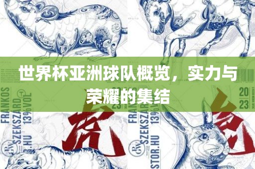 世界杯亚洲球队概览，实力与荣耀的集结