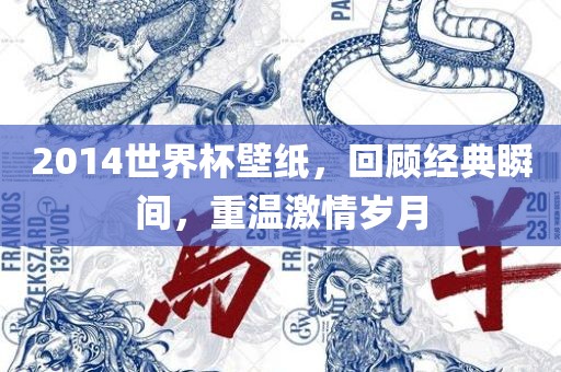 2014世界杯壁纸，回顾经典瞬间，重温激情岁月