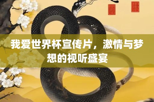 我爱世界杯宣传片，激情常熟市高丰毛纺织品有限公司与梦想的视听盛宴