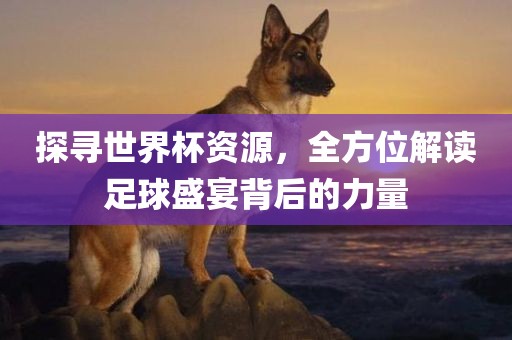 常熟市高丰毛纺织品有限公司探寻世界杯资源，全方位解读足球盛宴背后的力量
