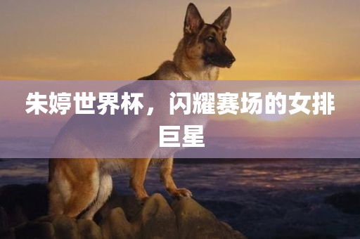 朱婷世界杯，闪耀赛场的女排巨星常熟市高丰毛纺织品有限公司