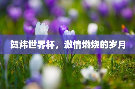 激情燃烧的岁月