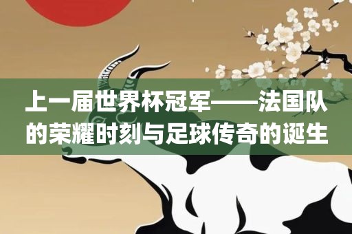 上一届世界杯冠军——法国队的荣耀时刻与足球传奇的诞生