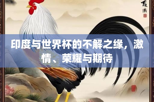 激情与荣耀 第2页