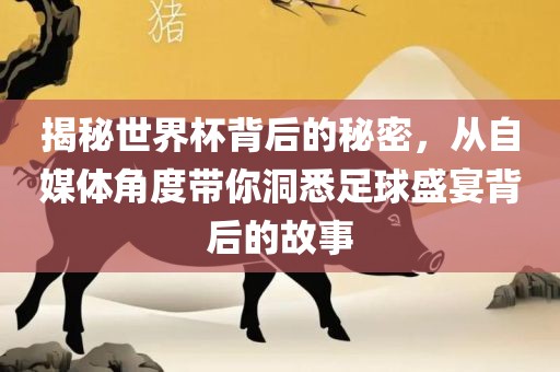 揭秘世界杯背后的秘密，从自媒体角度带你洞悉足球盛宴背后的故事