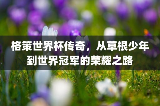 格策世界杯传奇，从草根少年到世界冠军的荣耀之路常熟市高丰毛纺织品有限公司