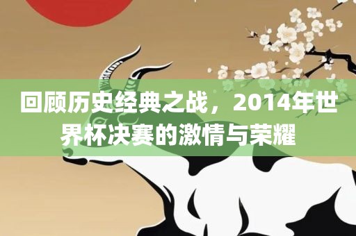 回顾历史经典之战，2014年世界杯决赛的激情与荣耀常熟市高丰毛纺织品有限公司