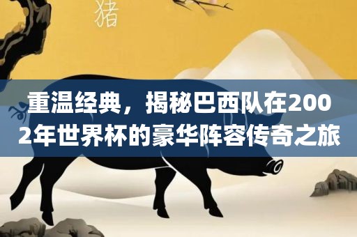 重温经典，揭秘巴西队在2002年世界杯的豪华阵容传奇之旅常熟市高丰毛纺织品有限公司