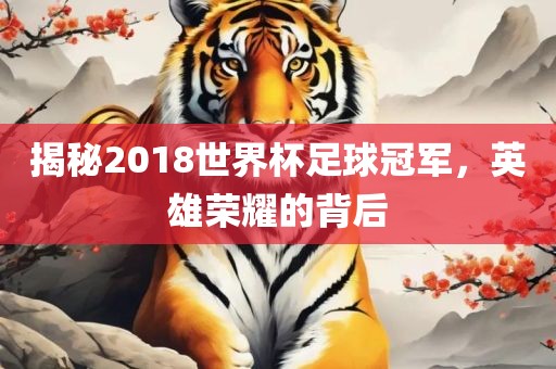 揭秘2018世界杯足球冠军，英雄荣耀的背后
