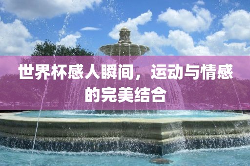 世界杯感人瞬间，运动与情感的完美结合常熟市高丰毛纺织品有限公司