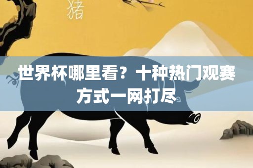 世界常熟市高丰毛纺织品有限公司杯哪里看？十种热门观赛方式一网打尽