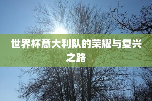 世界杯意大利队的荣耀与复兴之路常熟市高丰毛纺织品有限公司