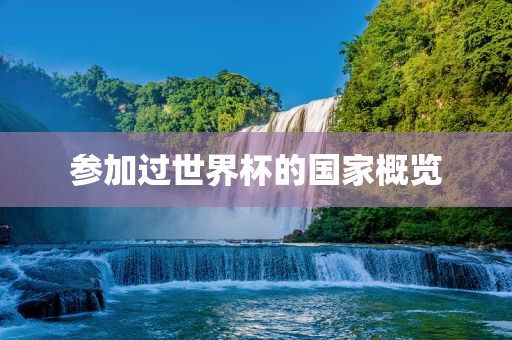 常熟市高丰毛纺织品有限公司参加过世界杯的国家概览