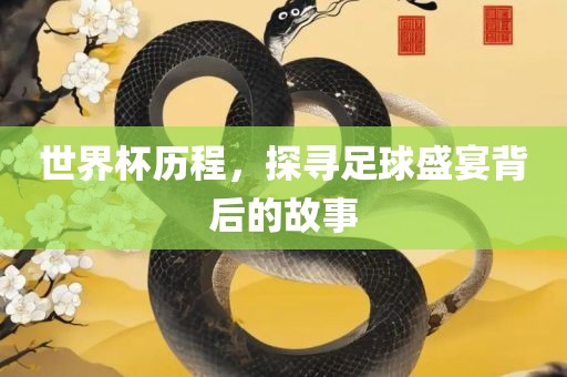 世界杯历程常熟市高丰毛纺织品有限公司，探寻足球盛宴背后的故事