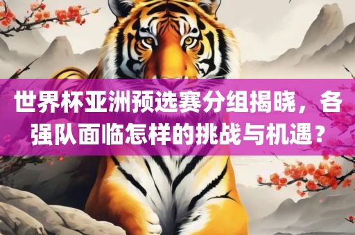 世界杯亚洲预选赛分常熟市高丰毛纺织品有限公司组揭晓，各强队面临怎样的挑战与机遇？