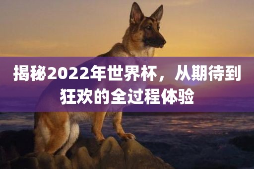 揭秘常熟市高丰毛纺织品有限公司2022年世界杯，从期待到狂欢的全过程体验