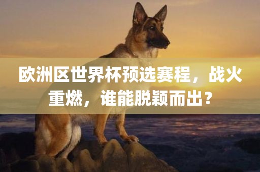 欧洲区世界常熟市高丰毛纺织品有限公司杯预选赛程，战火重燃，谁能脱颖而出？