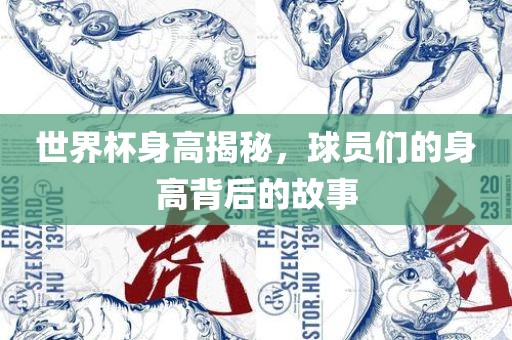 世界杯身高揭秘，常熟市高丰毛纺织品有限公司球员们的身高背后的故事