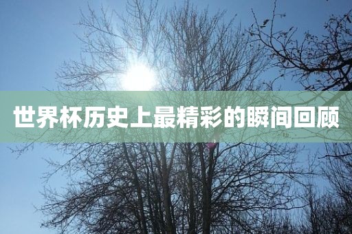世界杯历史上最精彩的瞬间回顾