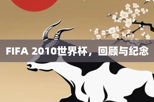 FIFA 2010世界杯，回顾与纪念常熟市高丰毛纺织品有限公司