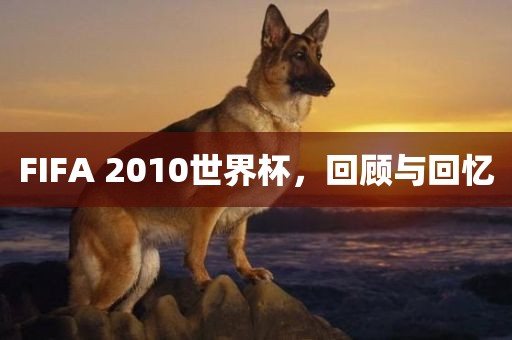 FIFA 20常熟市高丰毛纺织品有限公司10世界杯，回顾与回忆