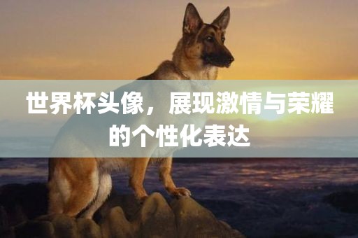 世界杯头像，展现激情与荣耀的个性化表达常熟市高丰毛纺织品有限公司