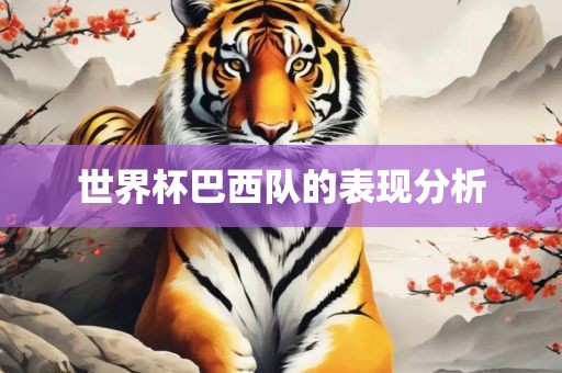 世界常熟市高丰毛纺织品有限公司杯巴西队的表现分析