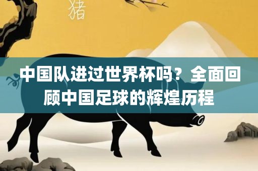 中国队进过世界杯吗？全面回顾中国足球的辉煌历程