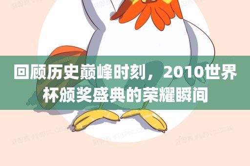 回顾历史巅峰时刻，2010世界杯颁奖盛典的荣耀瞬间常熟市高丰毛纺织品有限公司