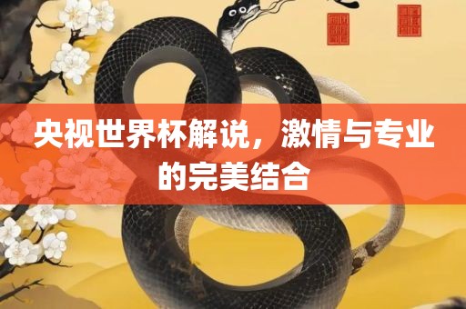 央视世界杯解说，激情与专业的完美结合
